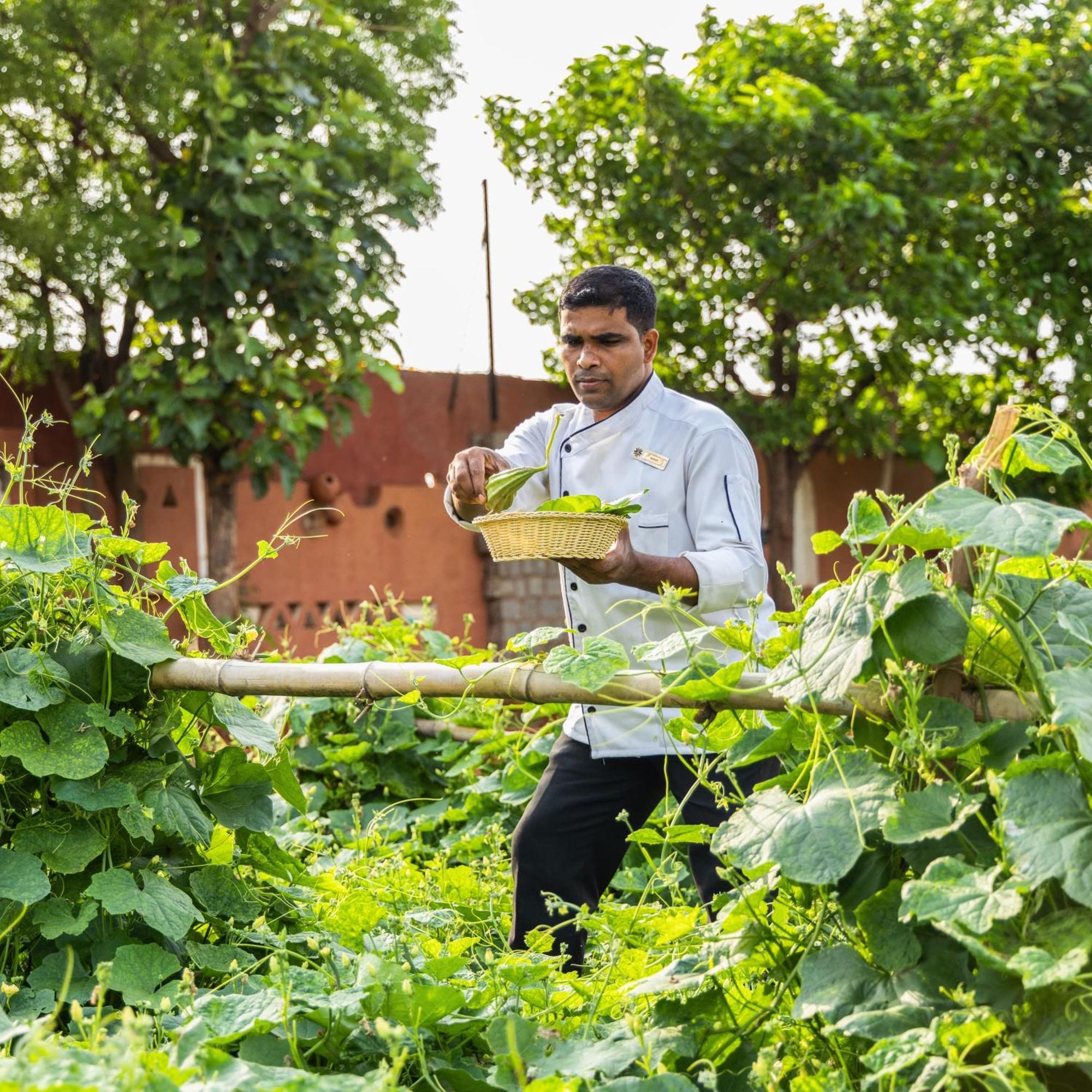 Vijayshree Resort&Heritage Village Hampi Buitenkant foto